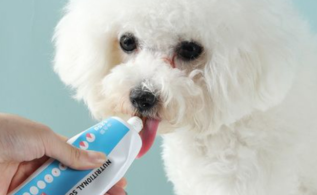 狗狗可以吃营养膏吗,可以补充微量元素吗视频_https://www.shafeng.cn_生活_第2张