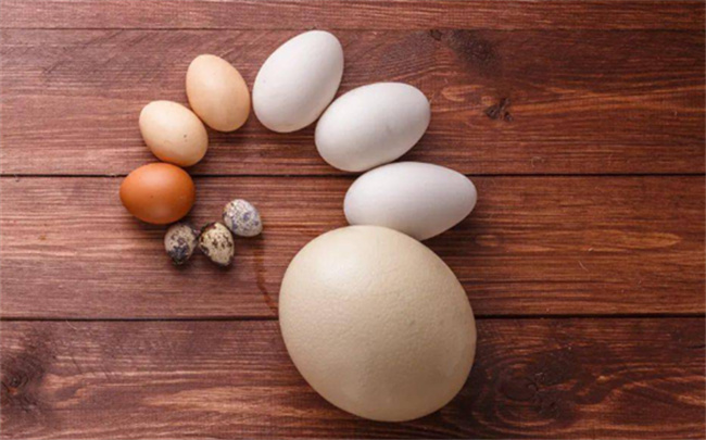 不同种类的蛋营养有没有显著区别_https://www.shafeng.cn_生活_第2张