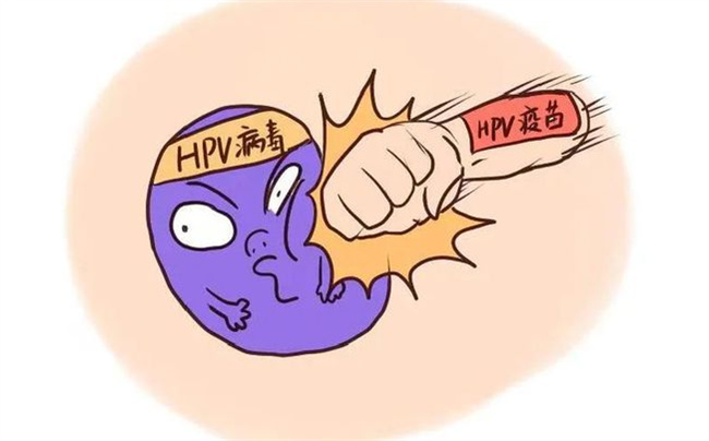 感染hpv转阴多久算痊愈_https://www.shafeng.cn_生活_第1张