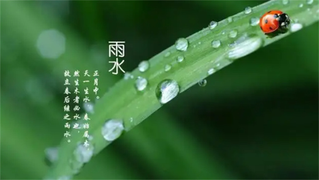 ​24节气雨水的由来是什么，雨水有哪些习俗_https://www.shafeng.cn_生活_第3张
